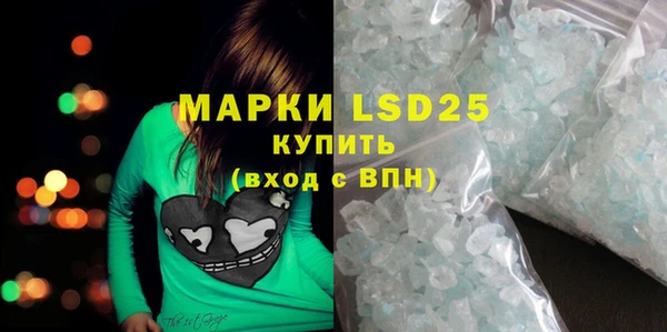 шишки Бородино