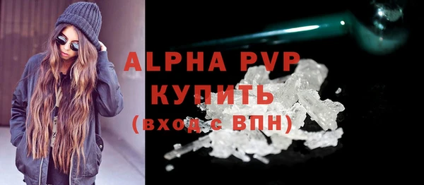 шишки Бородино