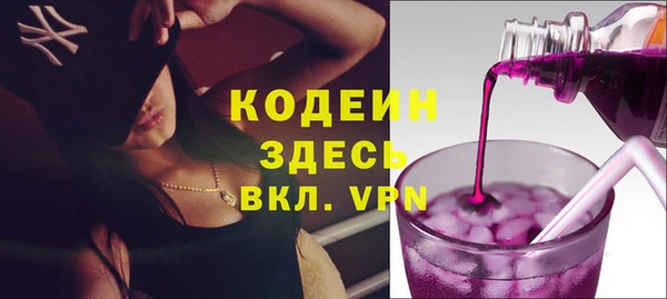 шишки Бородино