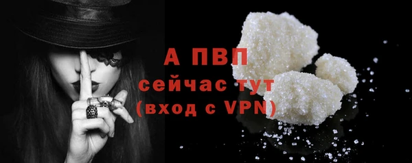 шишки Бородино