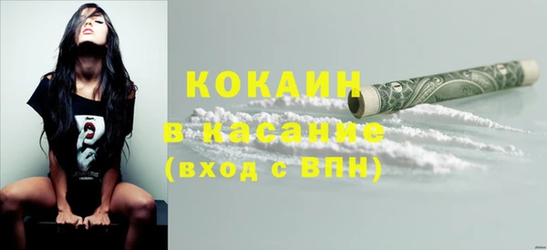 шишки Бородино