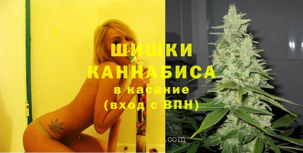 шишки Бородино