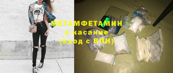 шишки Бородино