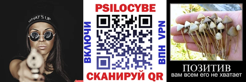 наркошоп Абакан Галлюциногенные грибы Magic Shrooms